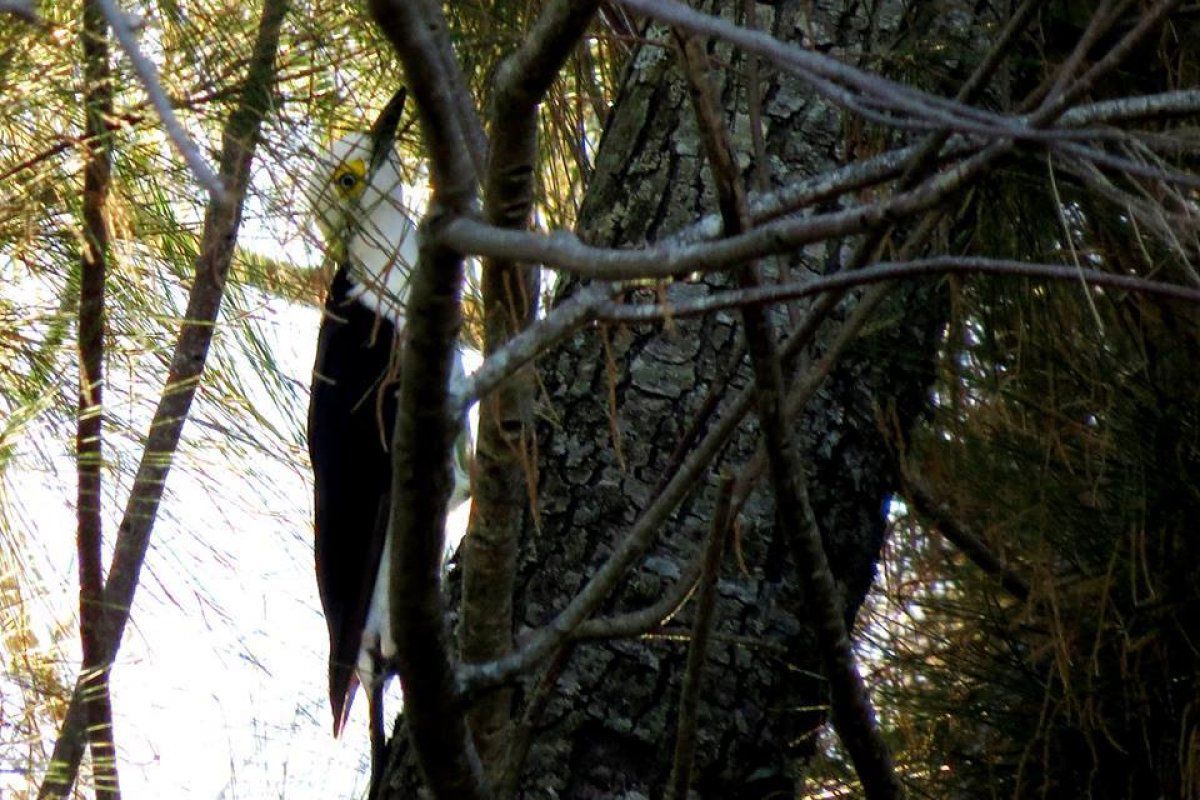 Reserva Natural La Serena del Gualey&aacute;n